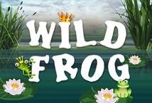 Wild Frog Slot Review